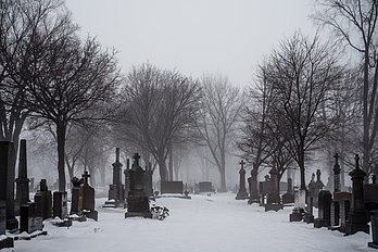 Le cimetière Saint-Charles, plus grand cimetière de Québec, sur la rive droite de la rivière Saint-Charles. (définition réelle 8 256 × 5 504)