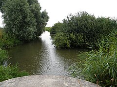 Après le Pont sur la RD 204, le canal de drainage.