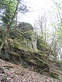 Granit-Granodiorit-Felsformation Steinerne Kanzel am Kanzelberg östlich von Hirschberg-Großsachsen