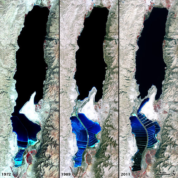 Dead Sea 1972, 1989, 2011