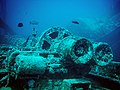 Затонулий корабель Thistlegorm