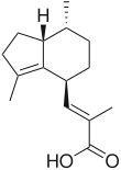 Imagen de la estructura