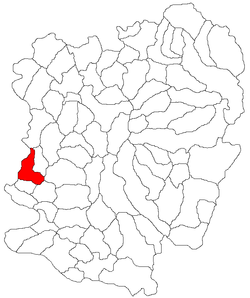 Location in Caraș-Severin County