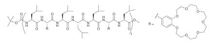 VoyerHelicalPeptide.svg