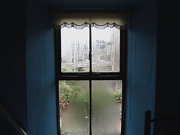 Condensation in Windows