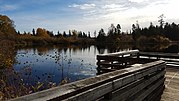 A wooden dock next to the lake