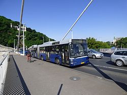 239-es busz az Erzsébet hídon
