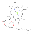 Bacterioclorofila g