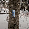 Une pièce de métal blanche rectangulaire portant l'inscription SIA/IAT en bleu, fixée sur un arbre