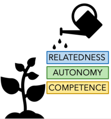 basic psychological needs of autonomy, relatedness and competence that have been identified as essential for human growth as according to the self determination theory