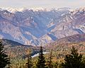 Hume Lake showing extensive mountain pine beetle damage as of April 2016.