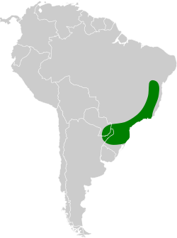 Distribución geográfica del picoguadaña piquinegro.