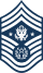 E9d USAF CMSAF.svg