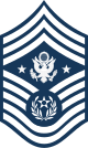 80px-E9d_USAF_CMSAF.svg.png