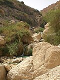 Nahal David, Ein Gedi