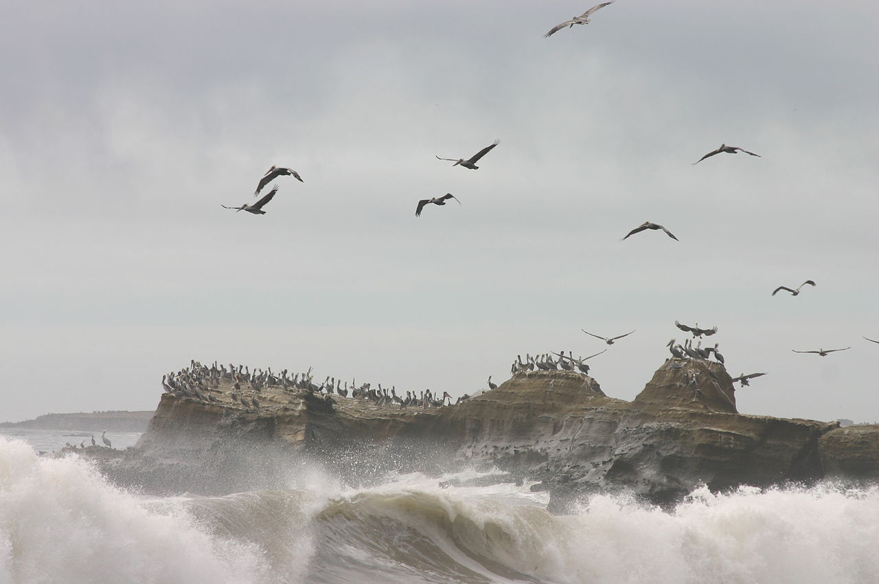 http://upload.wikimedia.org/wikipedia/commons/thumb/8/8d/Escape_from_Submerging_Colony.jpg/1280px-Escape_from_Submerging_Colony.jpg