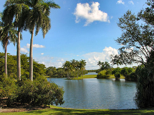 Fairchild Tropical Botanic Garden things to do in Miami