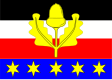 Černousy zászlaja