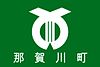 那賀川町旗