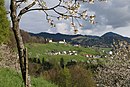 Blick auf die Gemeinde Viktorsberg