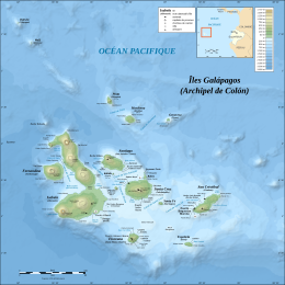 Llocalización y mapa de les islles Galápagos, onde habita esti pelícanu.