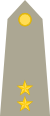 HON-army-OF-4.svg