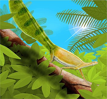 Life restoration of Hypuronector limnaios as an arboreal animal.