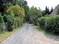 Friedewaldweg