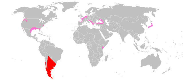 Distribuição de ratão-do-banhado; nativo em vermelho, introduzido em rosa