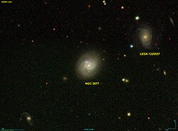 NGC 2877