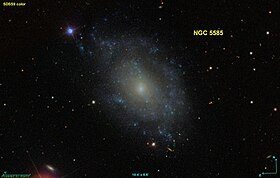 Image illustrative de l’article NGC 5585