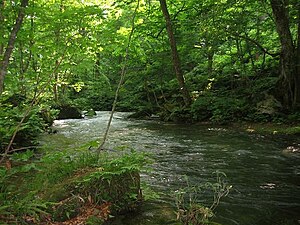Oirase Valley in Towada