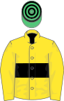 Yellow, black hoop, yellow sleeves, emerald green and black hooped cap