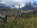 Panorámica do Torres del Paine