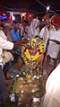 Worship for cattle with pongal