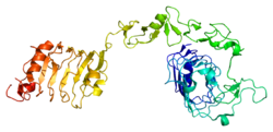 Протеин IGF1R PDB 1igr.png