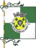 Flag of Figueiró dos Vinhos