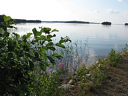 Järvinäkymä Uukuniemen kalasatamassa