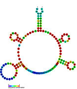 FMN riboswitch: Secondary structure for the riboswitch marked up by sequence conservation. Family RF00050.