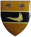 Mariental Commando Insignia