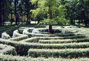 Public hedge maze in the "English Garden&...