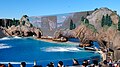 San Diego SeaWorld Orca Encounter