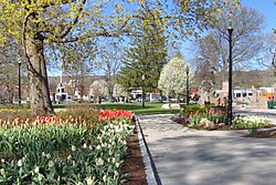 Skyline of Torrington