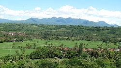 Rizsföldek Sumbawa Besar mellett