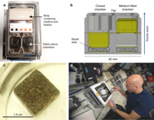 The BioRock Experimental Unit of the space station biomining experiment that demonstrated rare earth element extraction in microgravity and Mars gravity.webp