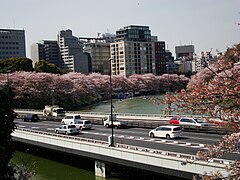 首都高都心環状線が横断する