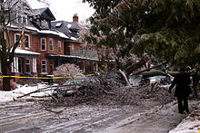 Damage from a fallen tree after the December 2013 North American storm complex passed through Toronto. Tree falls on vehicle - Toronto Ice Storm 2013.jpg