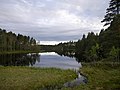 Pienoiskuva sivulle Vähä Leppäjärvi (Ylöjärvi)