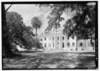 Plum Orchard. Cumberland Island, Georgia. 1898.