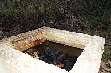 Соѕиданиот солен извор Соленица